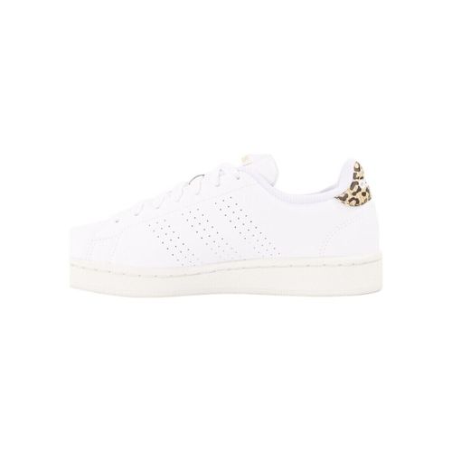 Baskets basses adidas Advantage - adidas - Modalova