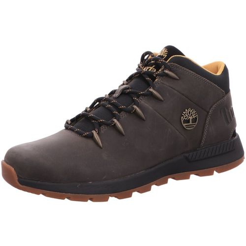 Baskets montantes Timberland - Timberland - Modalova