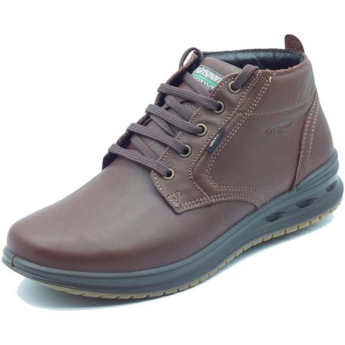 Boots Grisport 43015A4G Castagno - Grisport - Modalova