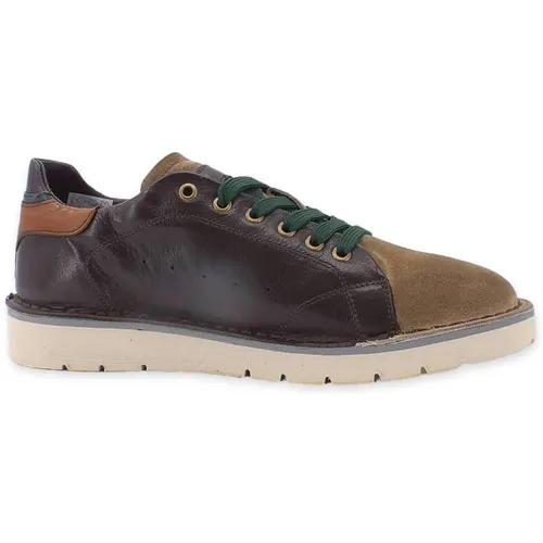 Baskets basses Café Noir TS1310MM - Café Noir - Modalova