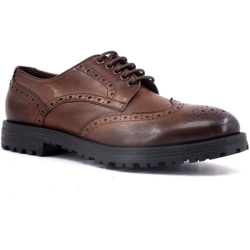 Derbies Franco Fedele 6514F - Franco Fedele - Modalova