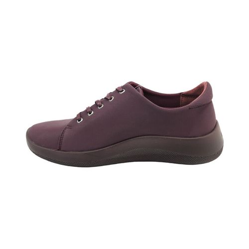 Baskets basses BLUCHER DAINTREE LICRA BORDEAUX - Arcopedico - Modalova