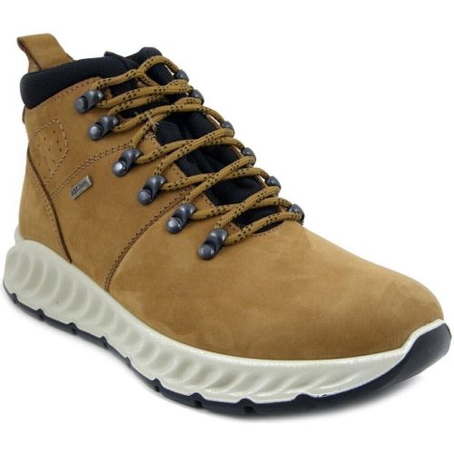 Boots Chaussures, Bottine en Nubuck, Lacets - 452818 - Imac - Modalova