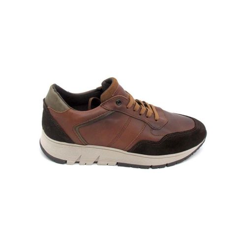 Baskets basses Djsanta 4123 - Djsanta - Modalova