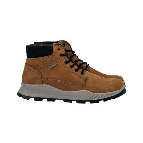 Bottines IgI&CO 4628422 - IgI&CO - Modalova