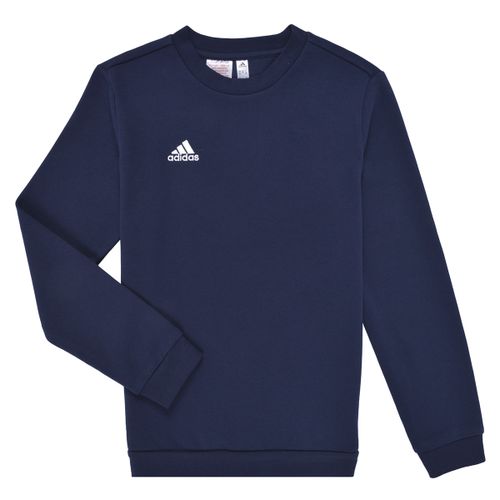 Sweatshirts adidas ENT22 SW TOPY - adidas - Modalova
