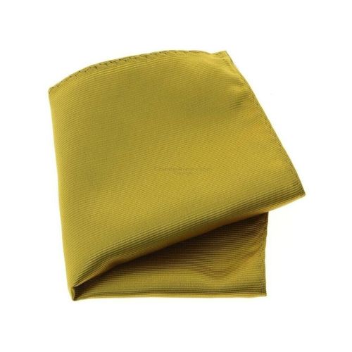 Costumes et cravates Pochette Monochrome - Clj Charles Le Jeune - Modalova