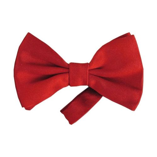 Cravates et accessoires Noeud papillon noué satin - Segni Et Disegni - Modalova
