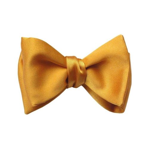Cravates et accessoires Noeud papillon à nouer Satin - Segni Et Disegni - Modalova