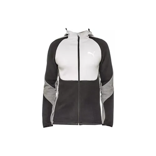 Sweatshirts à capuche Sweat à capuche FD EVO FZ - Puma - Modalova