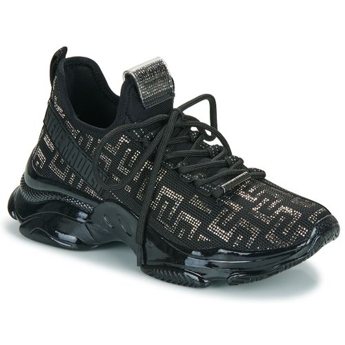 Baskets basses Steve Madden MAX-OUT - Steve Madden - Modalova