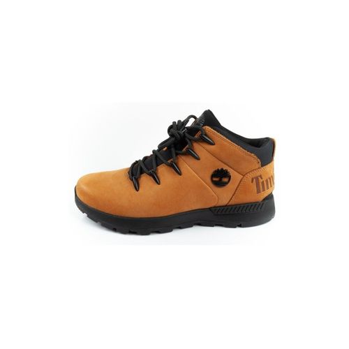Bottines Timberland TB0A2FEP231 - Timberland - Modalova
