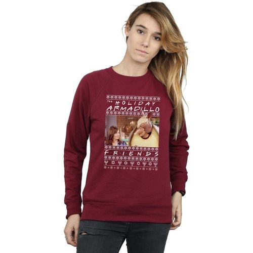 Sweat-shirt Holiday Armadillo - Friends - Modalova