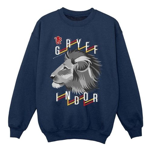 Sweatshirts Harry Potter Gryffindor - Harry Potter - Modalova