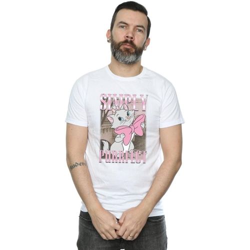 T-shirt Aristocats Simply Purrfect - Disney - Modalova