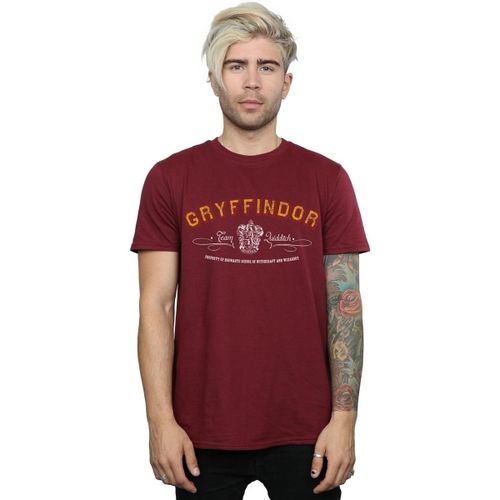 T-shirt Gryffindor Quidditch - Harry Potter - Modalova