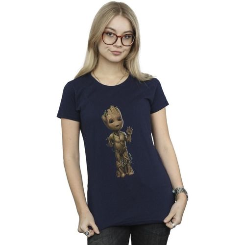 T-shirt Marvel I Am Groot - Marvel - Modalova