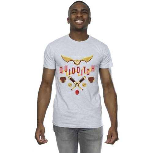 T-shirt Quidditch Golden Snitch - Harry Potter - Modalova