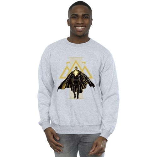 Sweat-shirt Dc Comics BI11173 - Dc Comics - Modalova