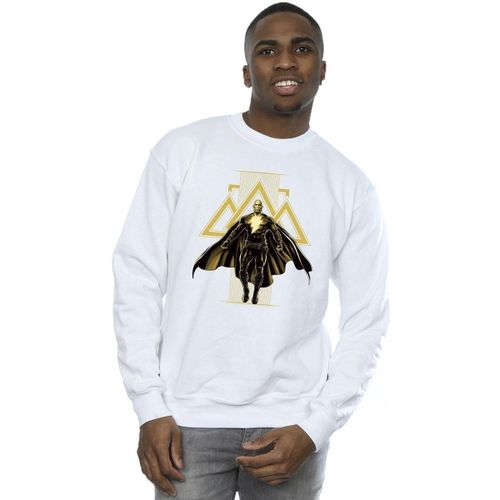 Sweat-shirt Dc Comics BI11173 - Dc Comics - Modalova
