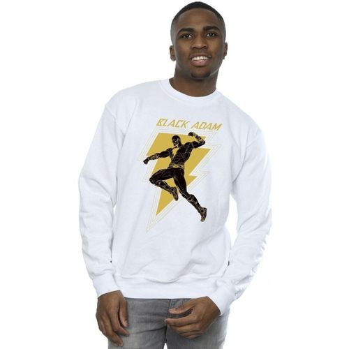 Sweat-shirt Dc Comics BI11174 - Dc Comics - Modalova