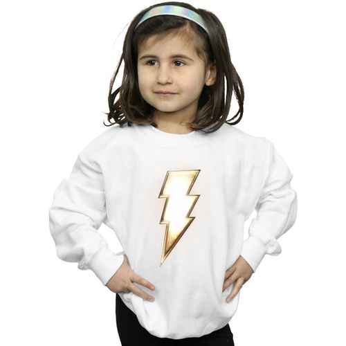 Sweatshirts Dc Comics BI33909 - Dc Comics - Modalova