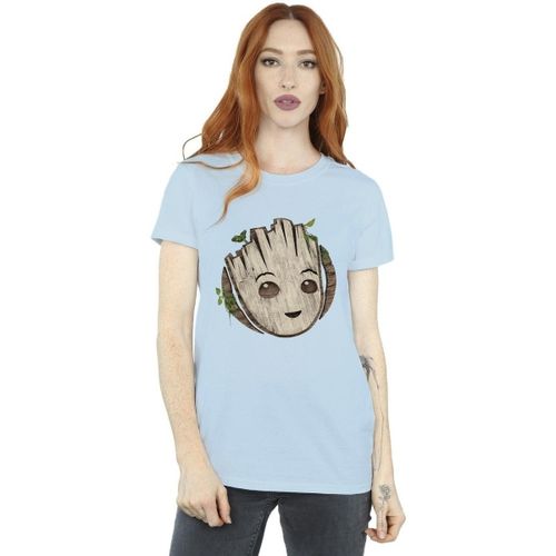 T-shirt Marvel I Am Groot - Marvel - Modalova