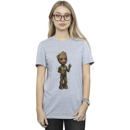 T-shirt Marvel I Am Groot - Marvel - Modalova