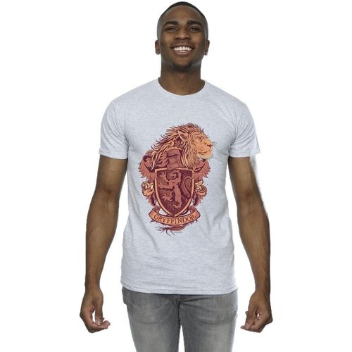 T-shirt Harry Potter Gryffindor - Harry Potter - Modalova