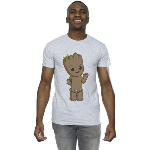 T-shirt Marvel I Am Groot - Marvel - Modalova