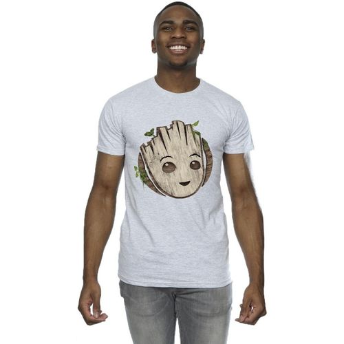 T-shirt Marvel I Am Groot - Marvel - Modalova