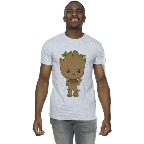 T-shirt Marvel I Am Groot - Marvel - Modalova