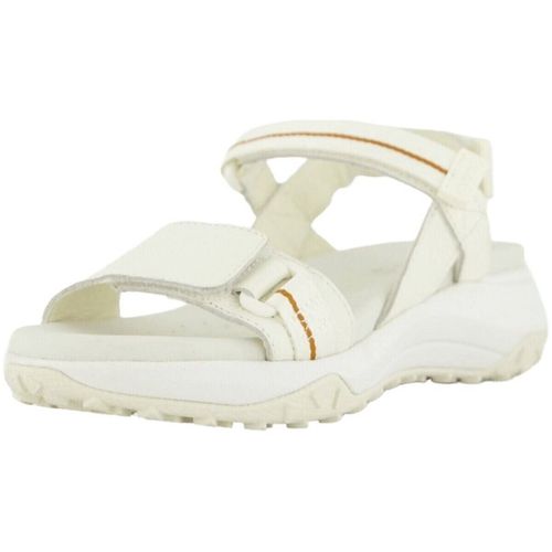 Chaussures Geox - Geox - Modalova