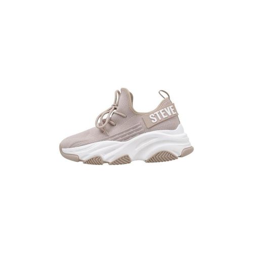 Baskets basses PROTEGE-E - Steve Madden - Modalova