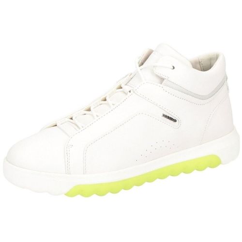Baskets Geox - Geox - Modalova
