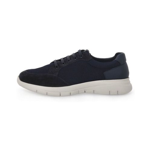 Baskets basses Frau 09V3BLU - Frau - Modalova