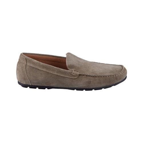 Mocassins IgI&CO Militare Scamoscio - IgI&CO - Modalova