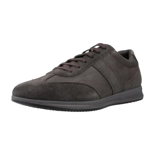 Baskets Geox U Avery - Geox - Modalova