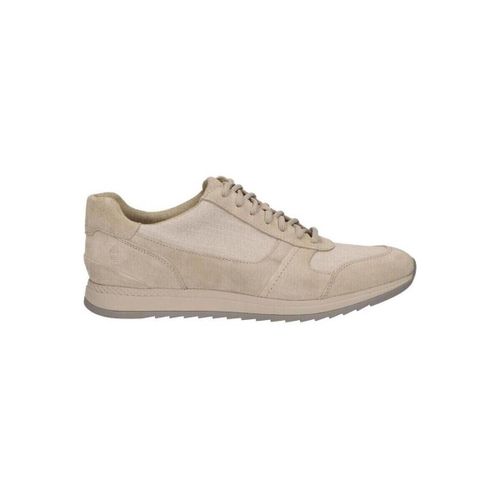 Chaussures Timberland A21XC MADAKET - Timberland - Modalova