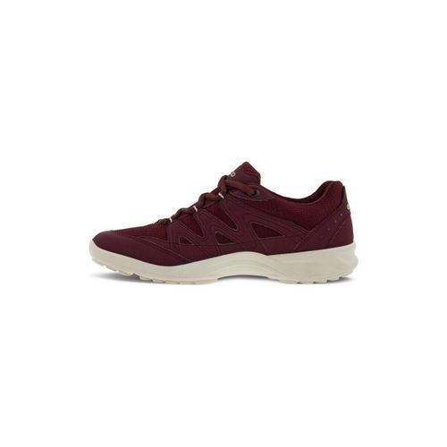 Baskets basses Ecco Terracruise Lt - Ecco - Modalova