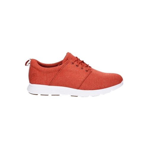 Chaussures A1ZWU KILLINGTON - Timberland - Modalova
