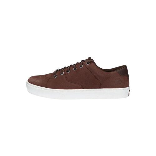 Ville basse A2GZJ ADV 2 OX - Timberland - Modalova