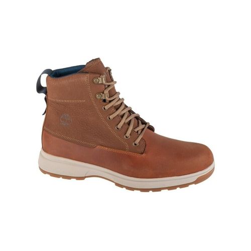 Baskets montantes Atwells Ave Wp - Timberland - Modalova