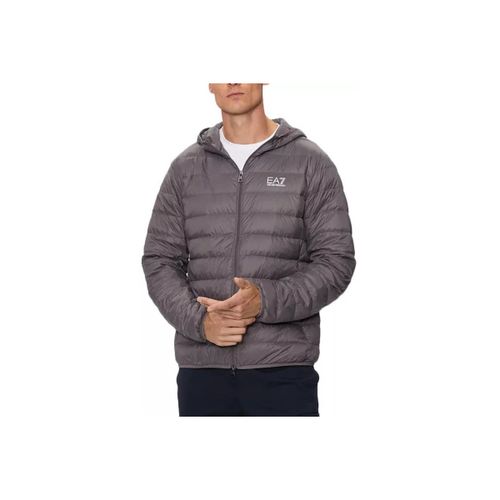 Doudounes à capuche - Emporio Armani EA7 - Modalova