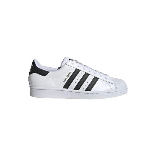 Baskets basses adidas Superstar - adidas - Modalova