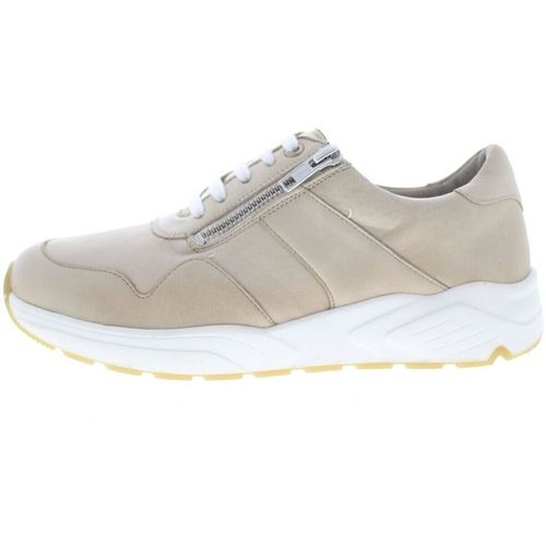 Baskets Solidus Kea K - Solidus - Modalova