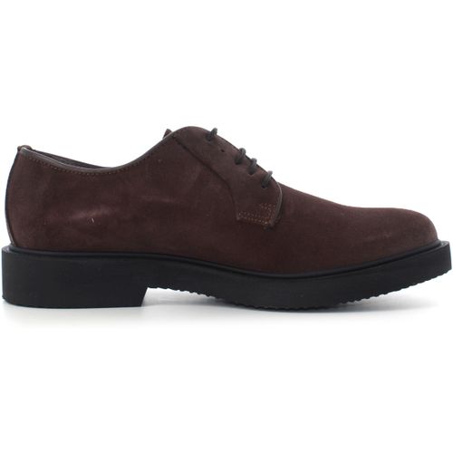 Chaussures Soldini 22574-X-VA2 - Soldini - Modalova