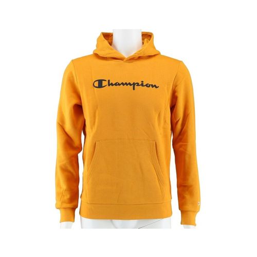 Sweatshirts à capuche Big Logo Print - Champion - Modalova