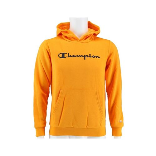 Sweatshirts à capuche Big Logo Print - Champion - Modalova