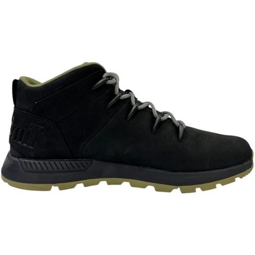 Baskets montantes TB0A6DQD - Timberland - Modalova